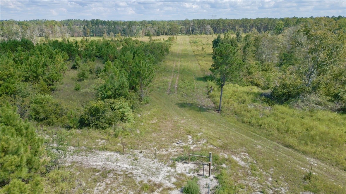 0 Hammond Powell Road Hinesville, GA 31313 - Photo 8 of 27