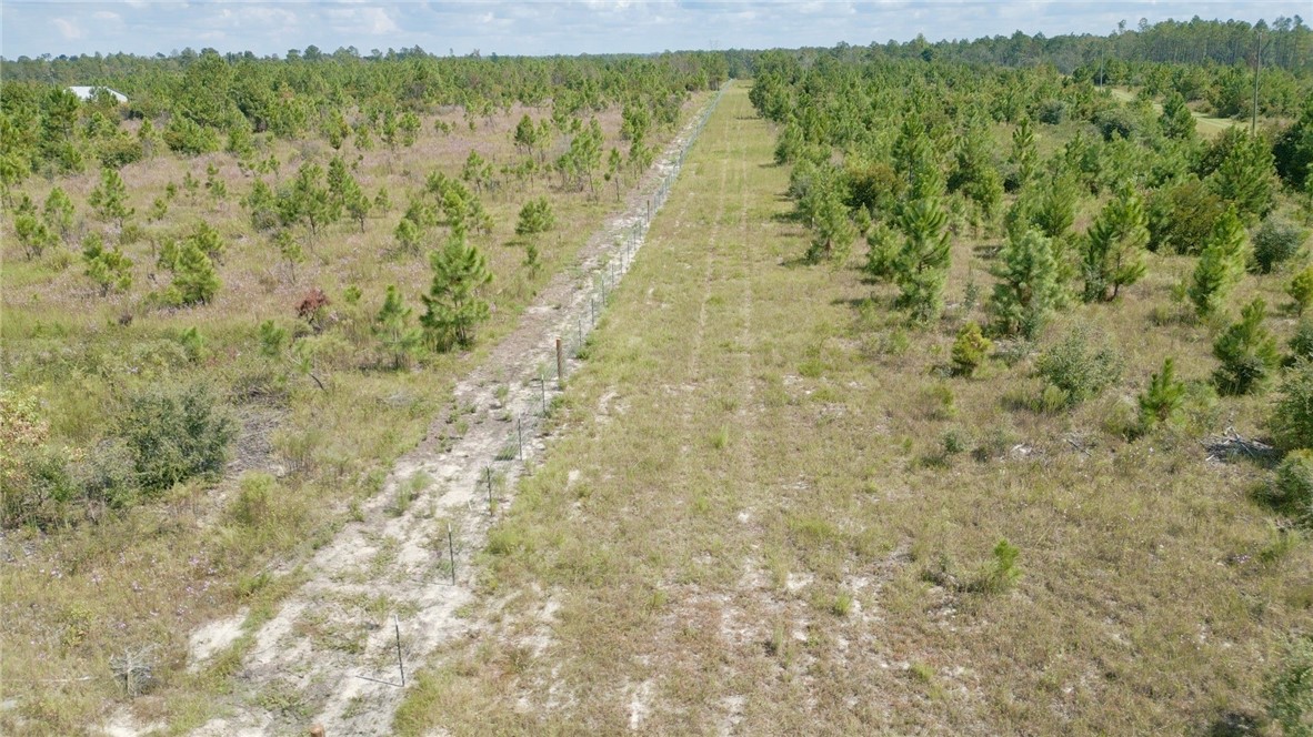 0 Hammond Powell Road Hinesville, GA 31313 - Photo 9 of 27