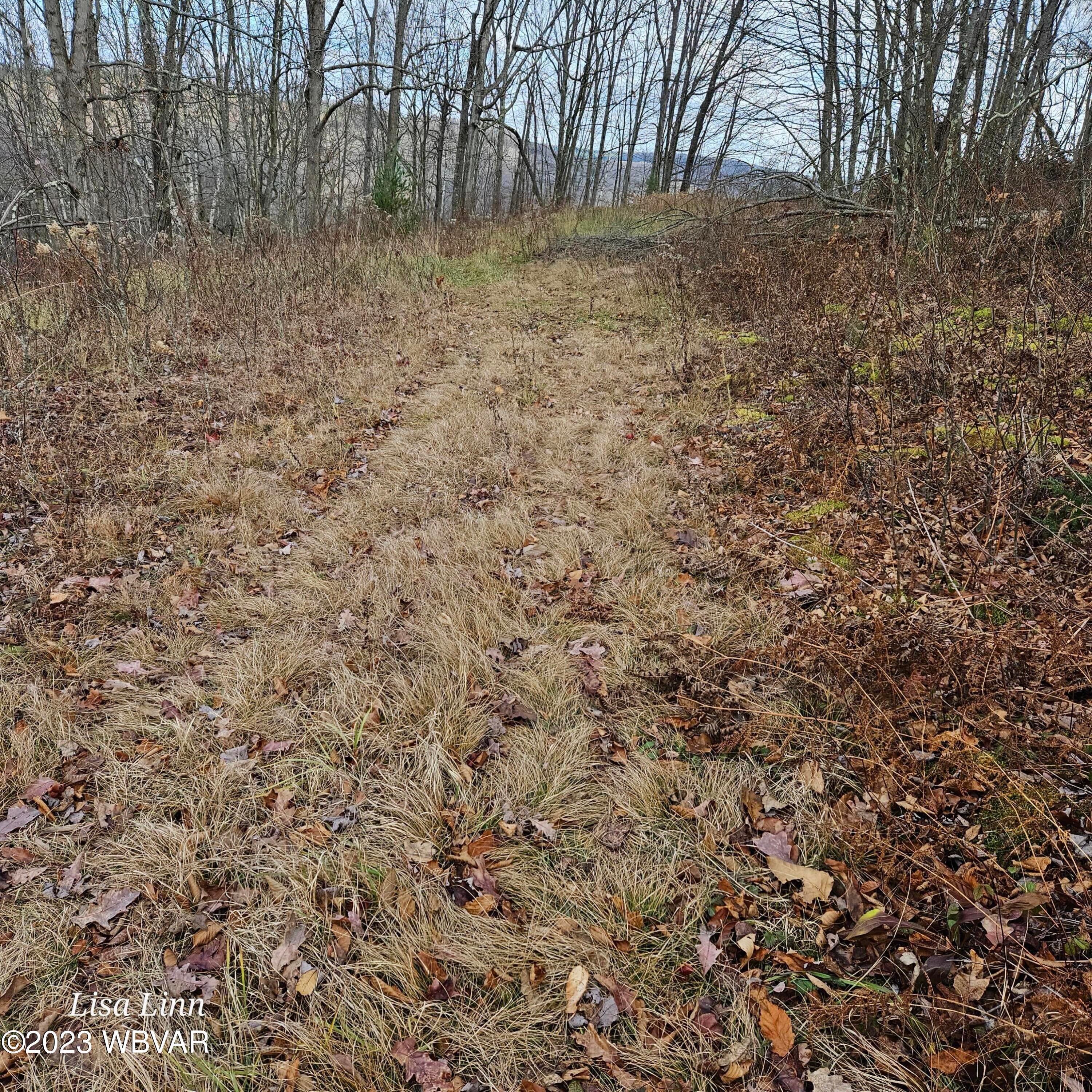 Shintown Road Renovo, PA 17764 - Photo 11 of 16 Gallery Image 11