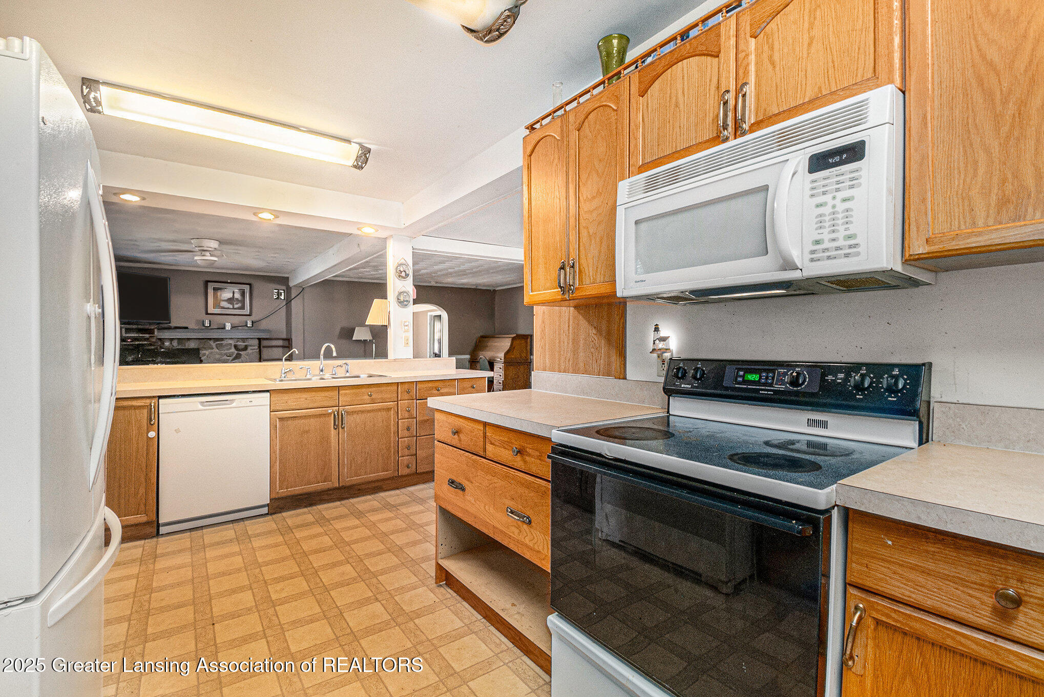 1028 Hagadorn Road Mason, MI 48854 - Photo 10 of 45 Kitchen