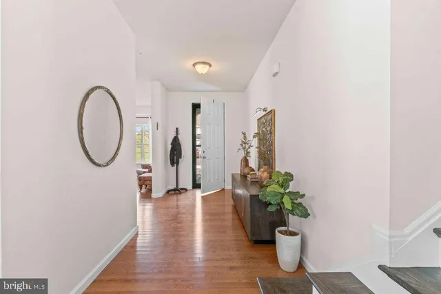 a view of a room with wooden floor and potted plant
