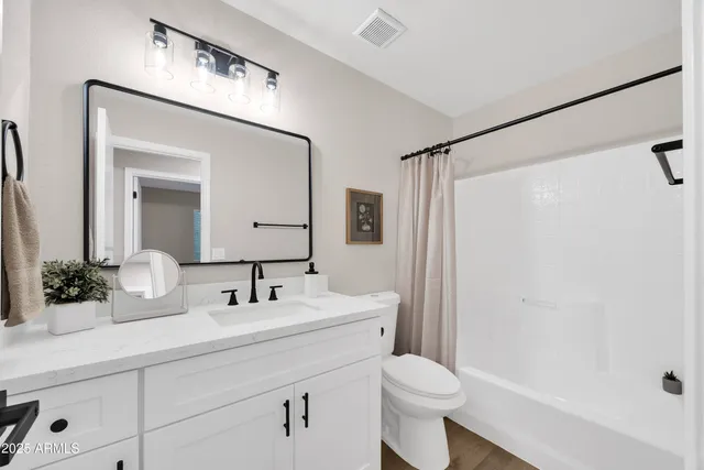 a bathroom with a sink a toilet a mirror a vanity and shower