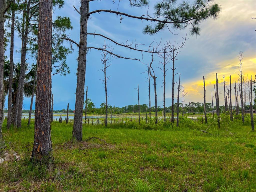 2332 Mitchell Island Road Deltona, FL 32738 - Photo 9 of 18