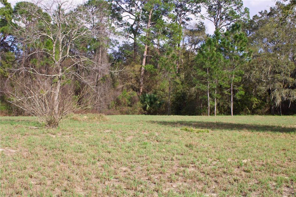 Ridge Road, Unit 47 Tavares, FL 32778 - Photo 10 of 41