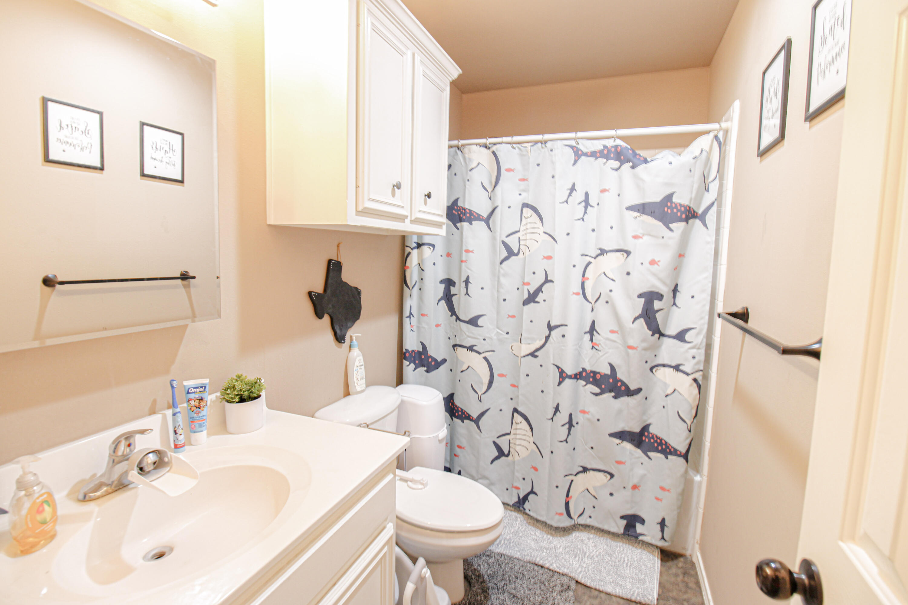7503 85th Street Lubbock, TX 79424 - Photo 15 of 24 9-IMG_0486