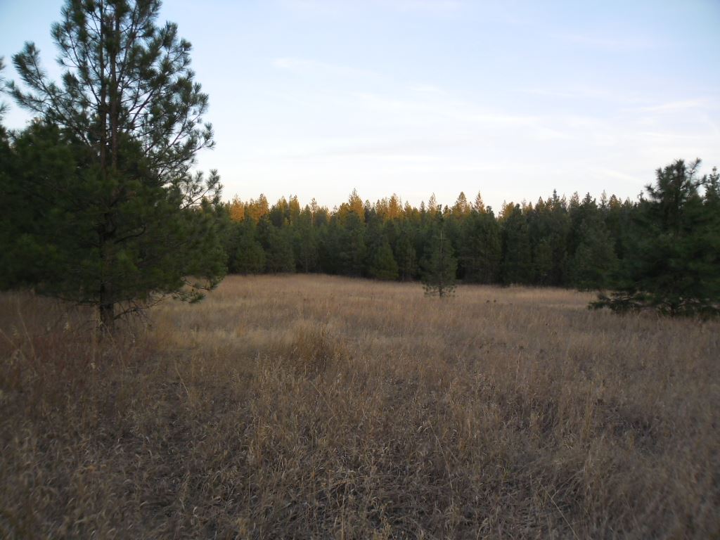 41412 North Division Road Deer Park, WA 99006 - Photo 10 of 12 Gallery Image 10