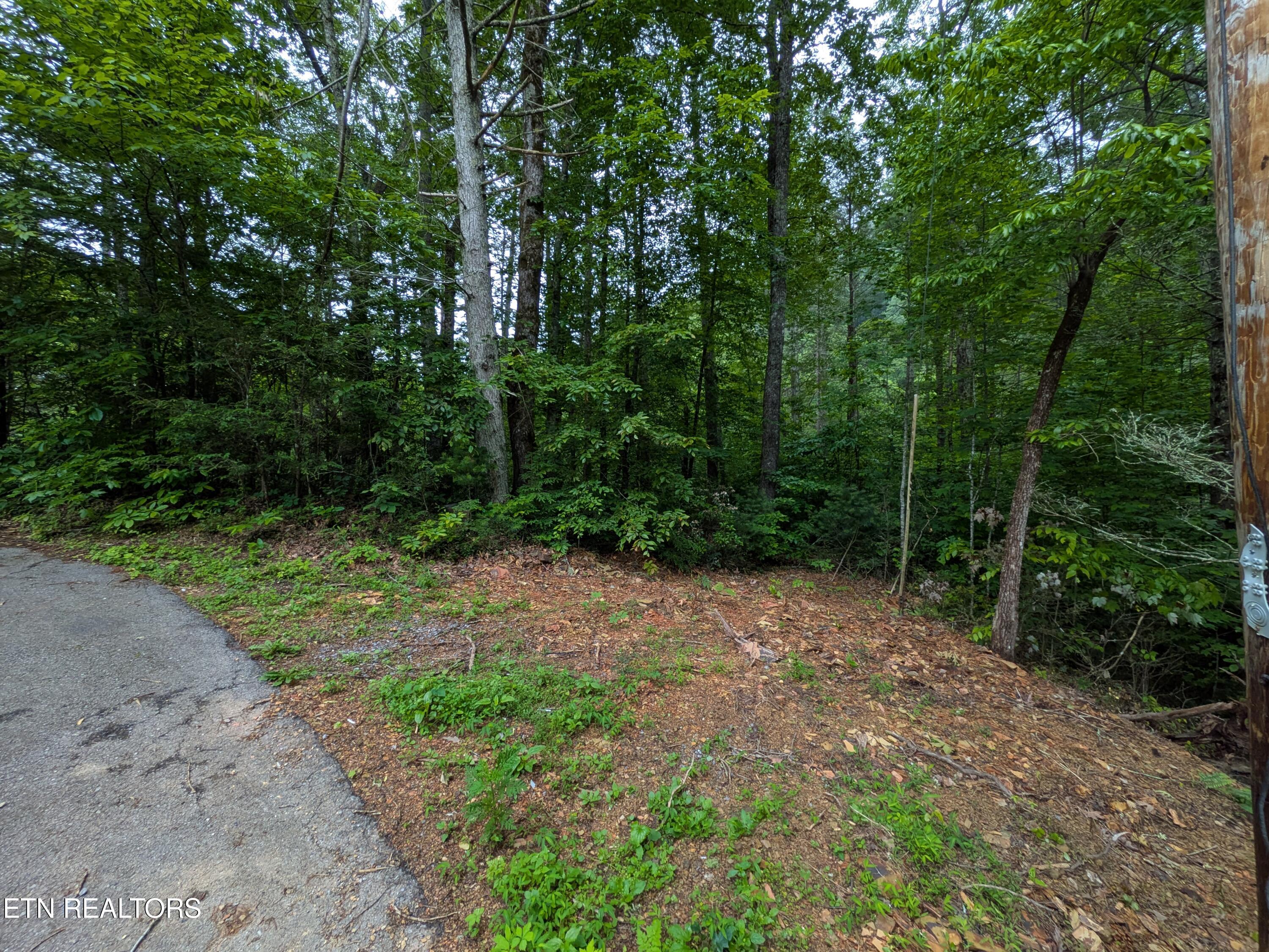 438 Kurts Corner Road Townsend, TN 37882 - Photo 1 of 4 PXL_20250529_124012959
