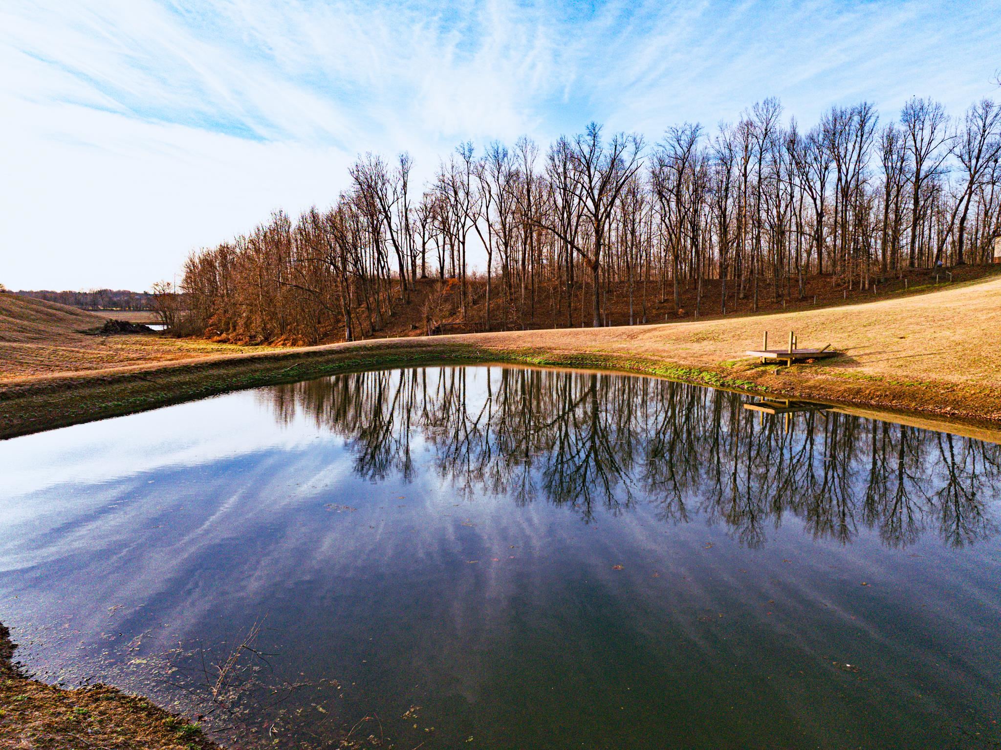 5030 Rogers Marshall Road Union City, TN 38261 - Photo 11 of 40 a view of swimming pool with a yard