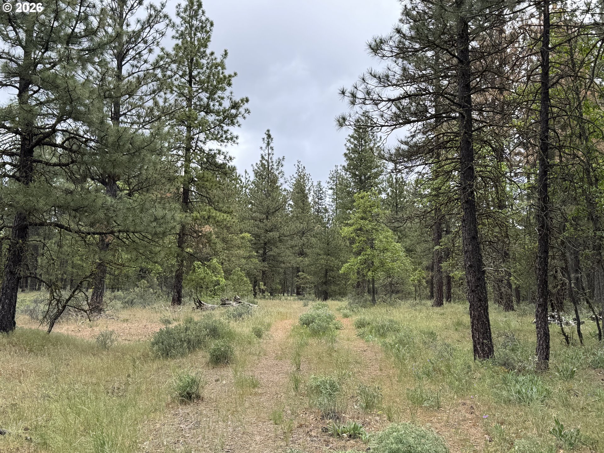 Old Mountain Road Goldendale, WA 98620 - Photo 6 of 41