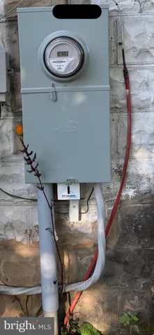 a view of a garden with an tree