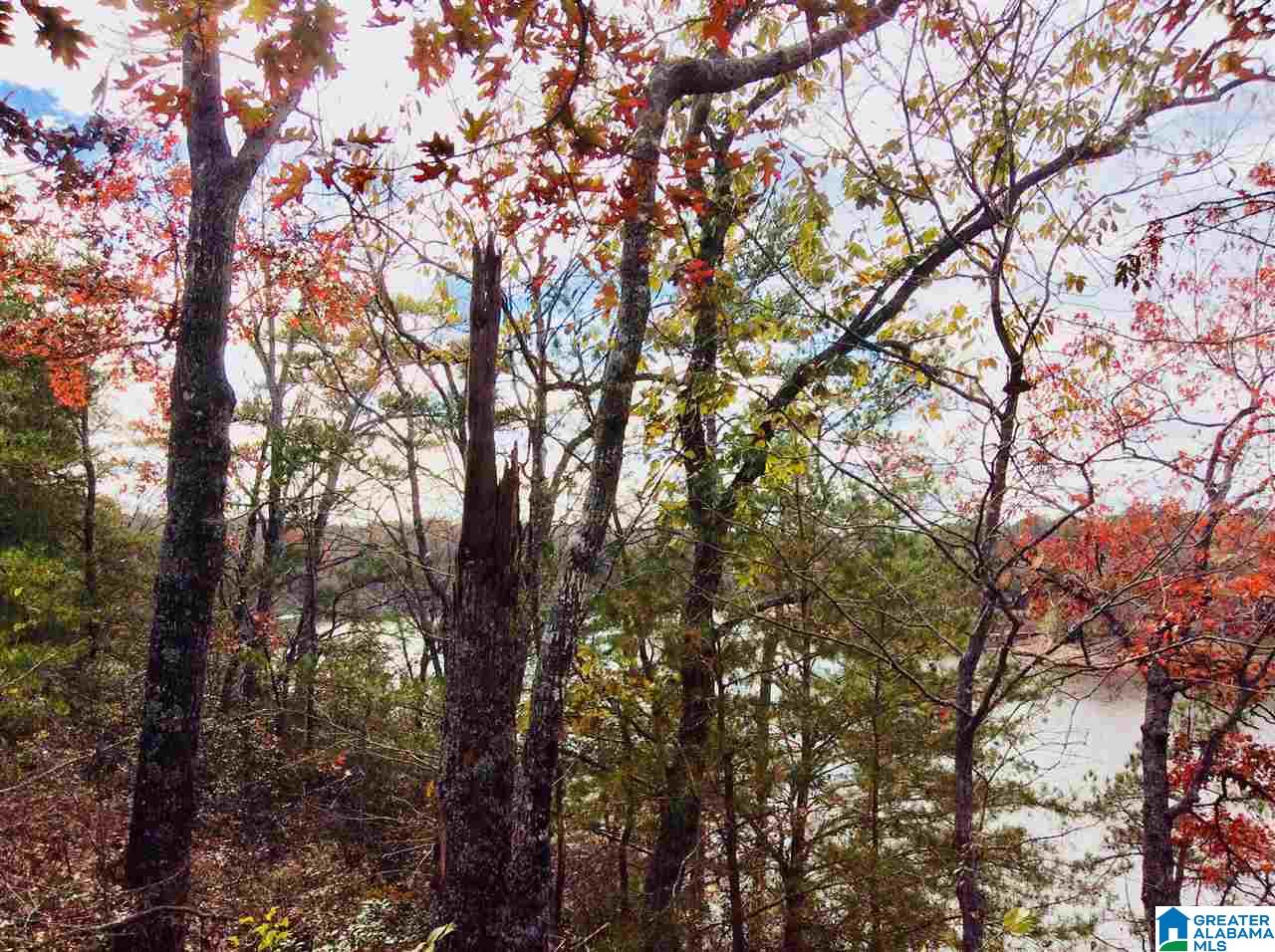 1-1 Acre Pleasure Point Road, Unit 3 Wedowee, AL 36278 - Photo 5 of 5