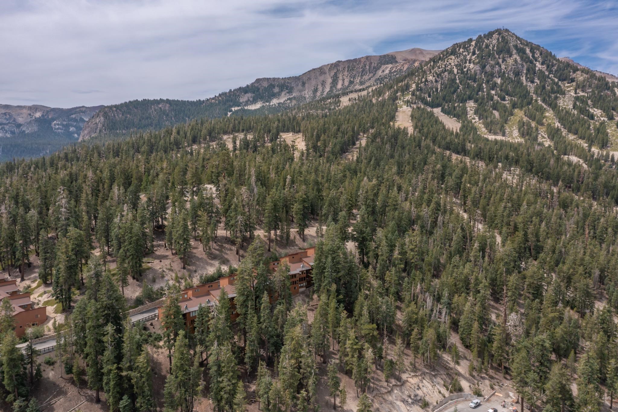 670 John Muir Road, Unit 45 Mammoth Lakes, CA 93546 - Photo 43 of 44 Mountainous terrain with extensive tree coverage and visible structures