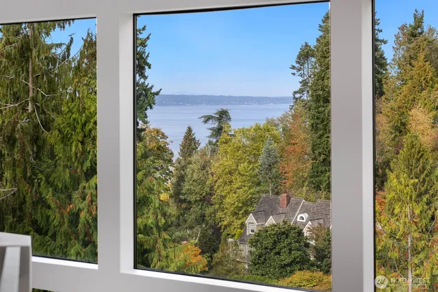 view of a garden from a window