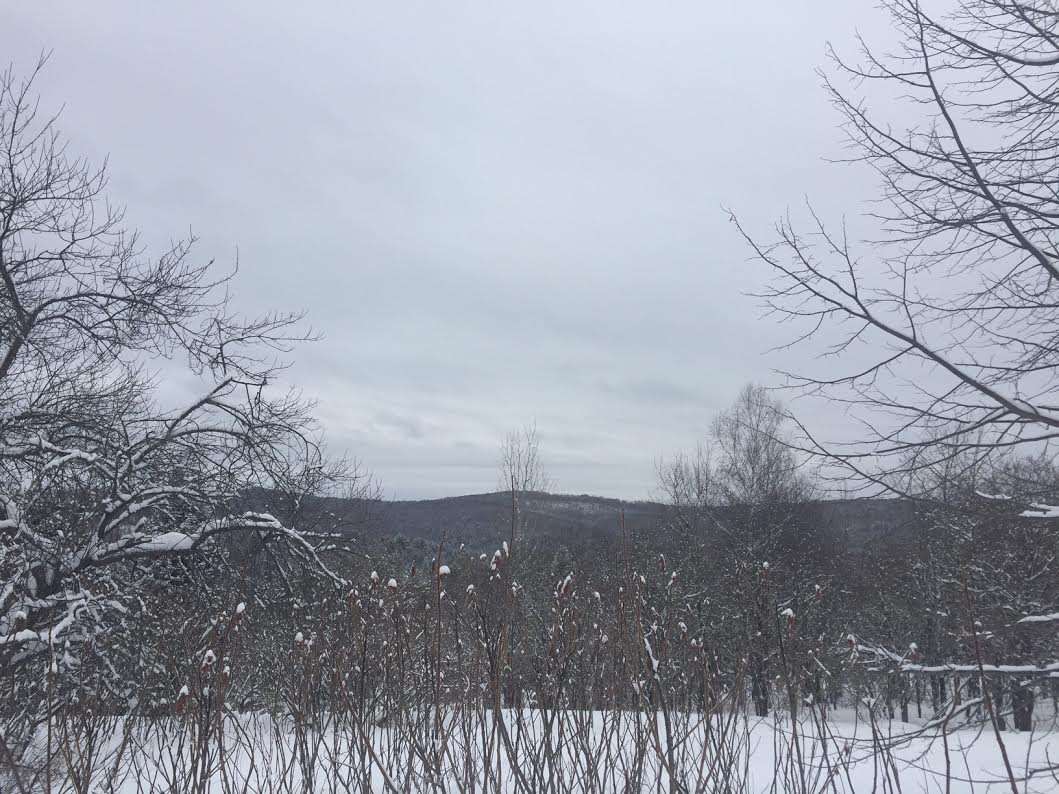 3928 Tampico Road Danville, VT 05828 - Photo 4 of 10 Gallery Image 4