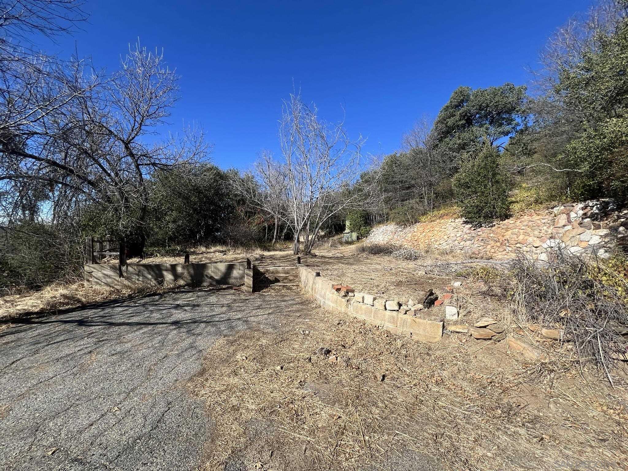 5298 Pine Hills Road Julian, CA 92036 - Photo 4 of 21 a view of a yard with snow on the road