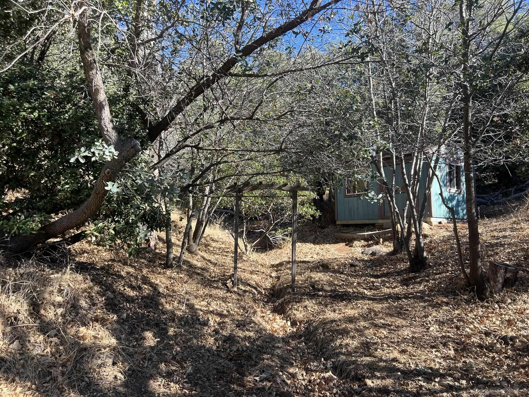 5298 Pine Hills Road Julian, CA 92036 - Photo 7 of 21 a view of a tree in the yard