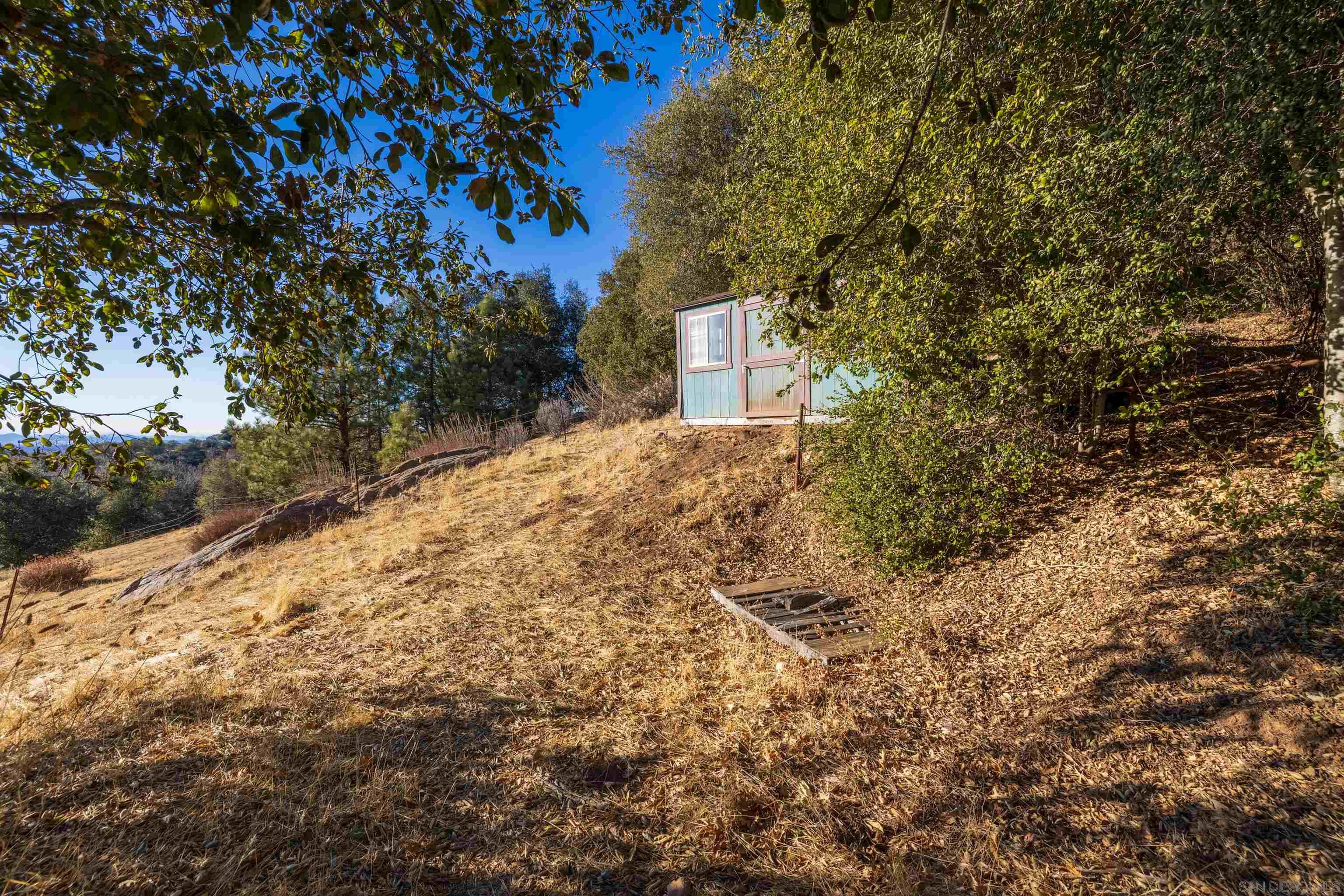 5298 Pine Hills Road Julian, CA 92036 - Photo 8 of 21 a backyard of a house with large trees