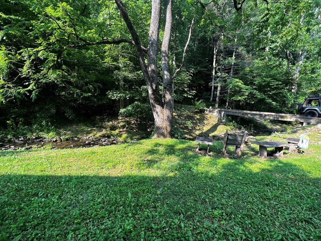 0 Raven Branch Road Del Rio, TN 37727 - Photo 8 of 29