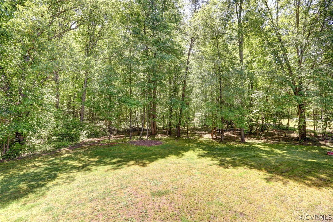 2654 Academy Road Powhatan, VA 23139 - Photo 46 of 50 Gallery Image 46