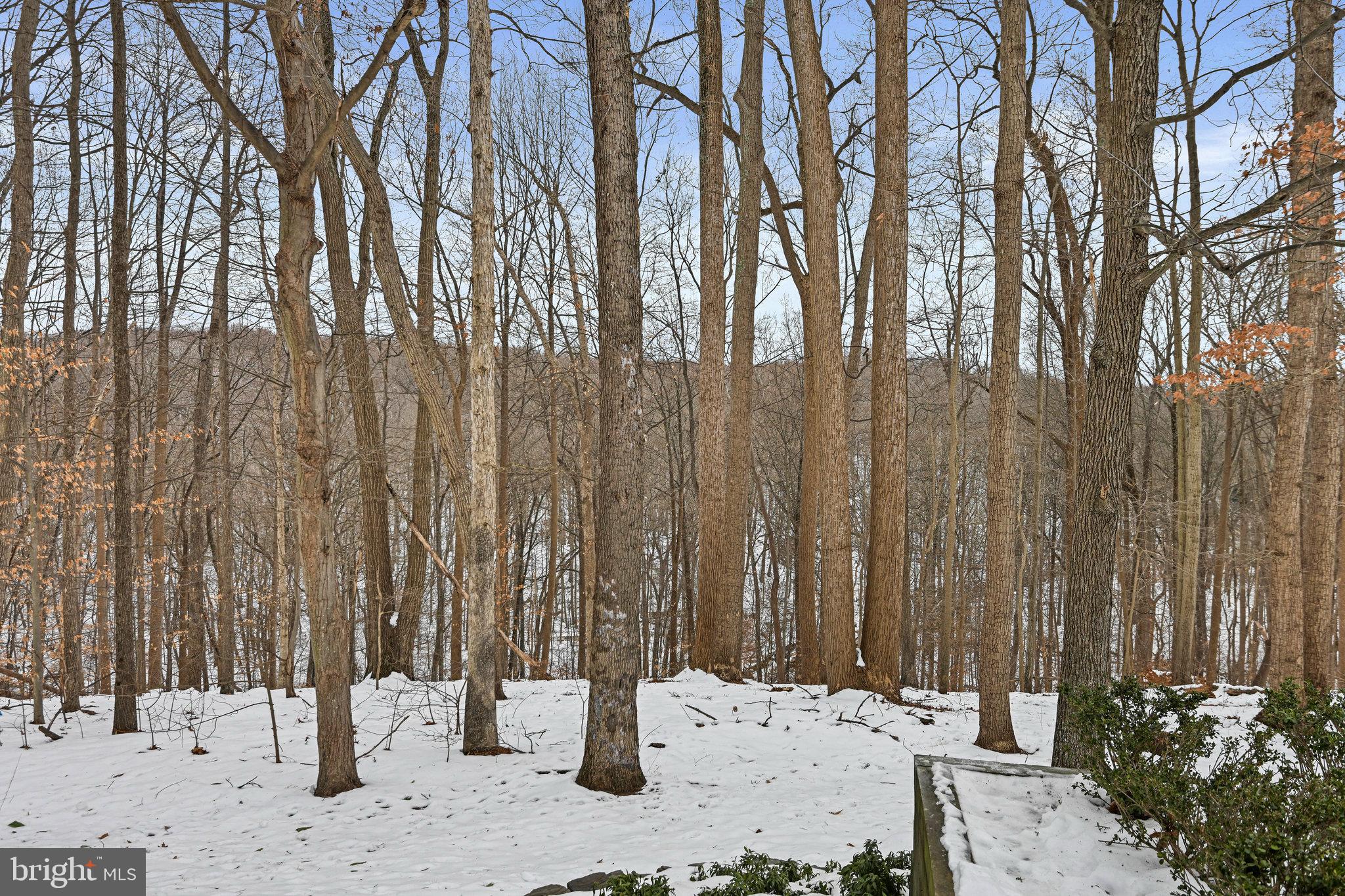 735 Potomac River Road McLean, VA 22102 - Photo 101 of 126