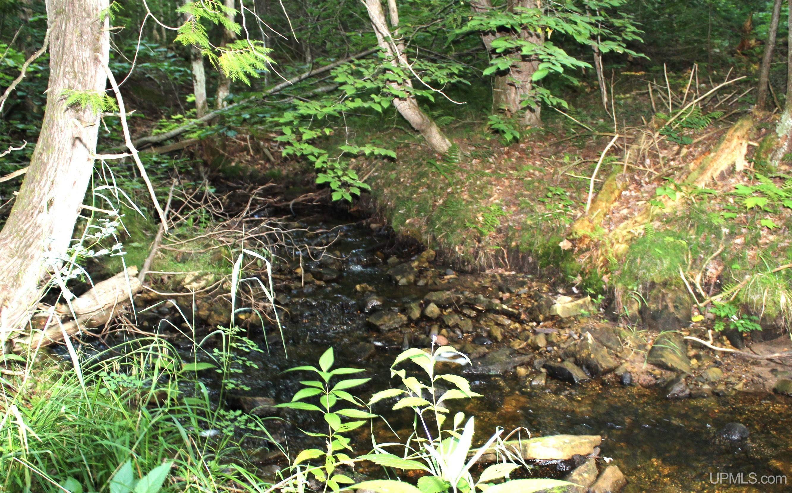 On East Shingleton Road Shingleton, MI 49884 - Photo 5 of 32