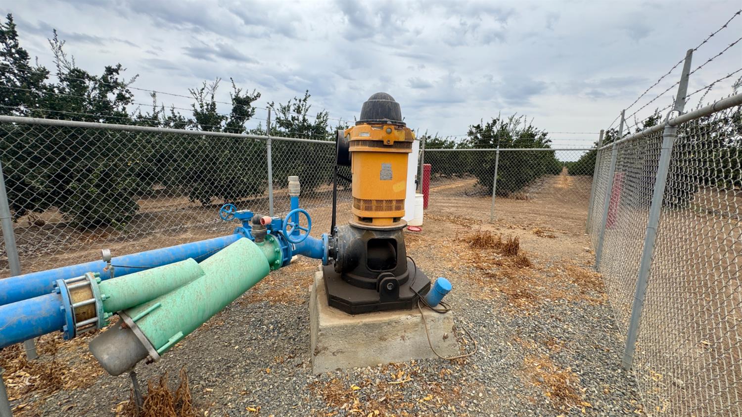 265 Road 240 Ducor, CA 93218 - Photo 17 of 25 a backyard of a house with a swing chair and iron fence