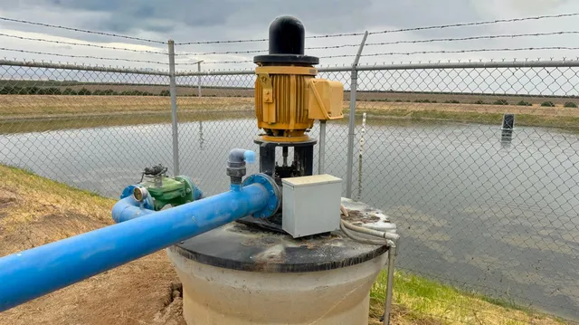 a vase of flowers sitting on a table