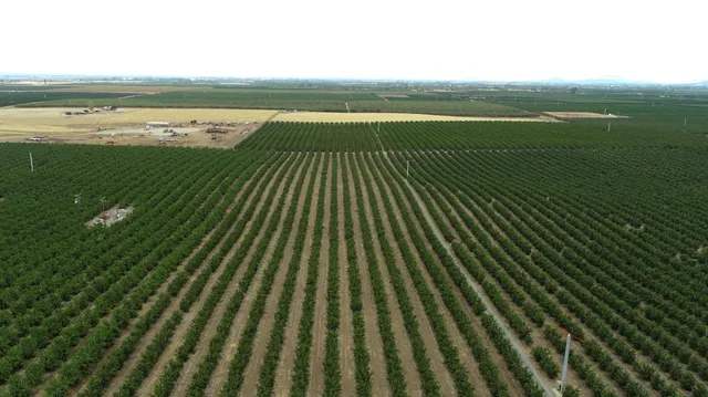 a view of lake from balcony with outdoor space