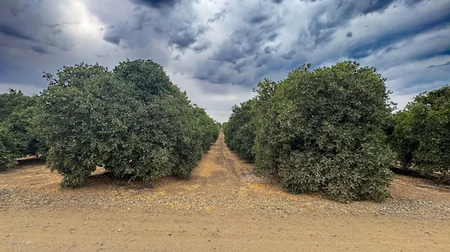 a view of outdoor space and yard