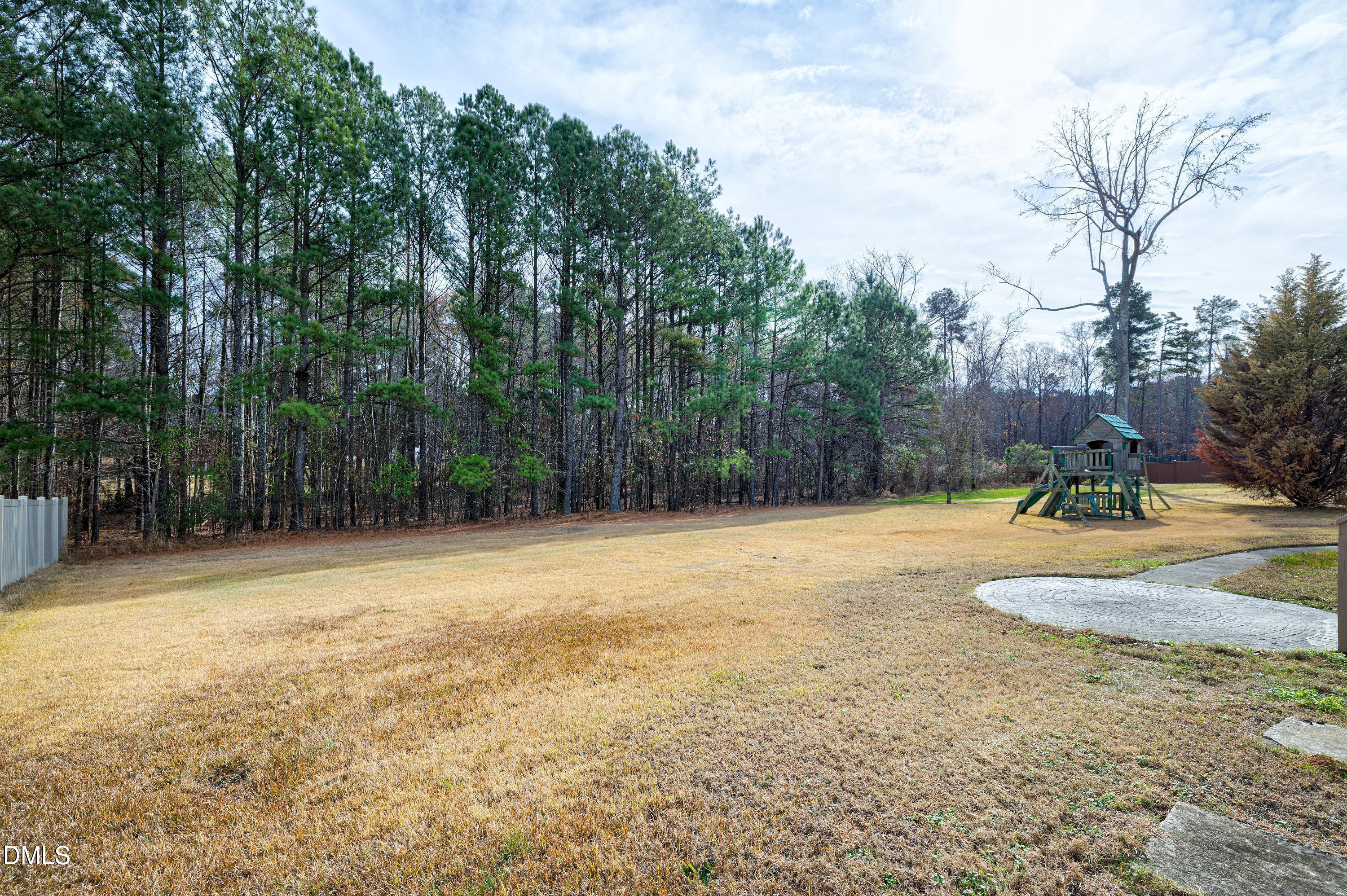 14212 Careme Court Wake Forest, NC 27587 - Photo 54 of 54 a view of a backyard