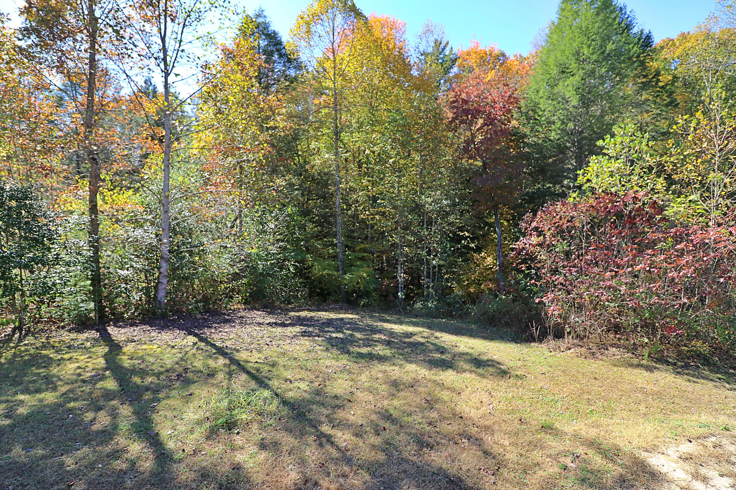 1248 Phillips Flats Road Oneida, TN 37841 - Photo 27 of 36 094A0879