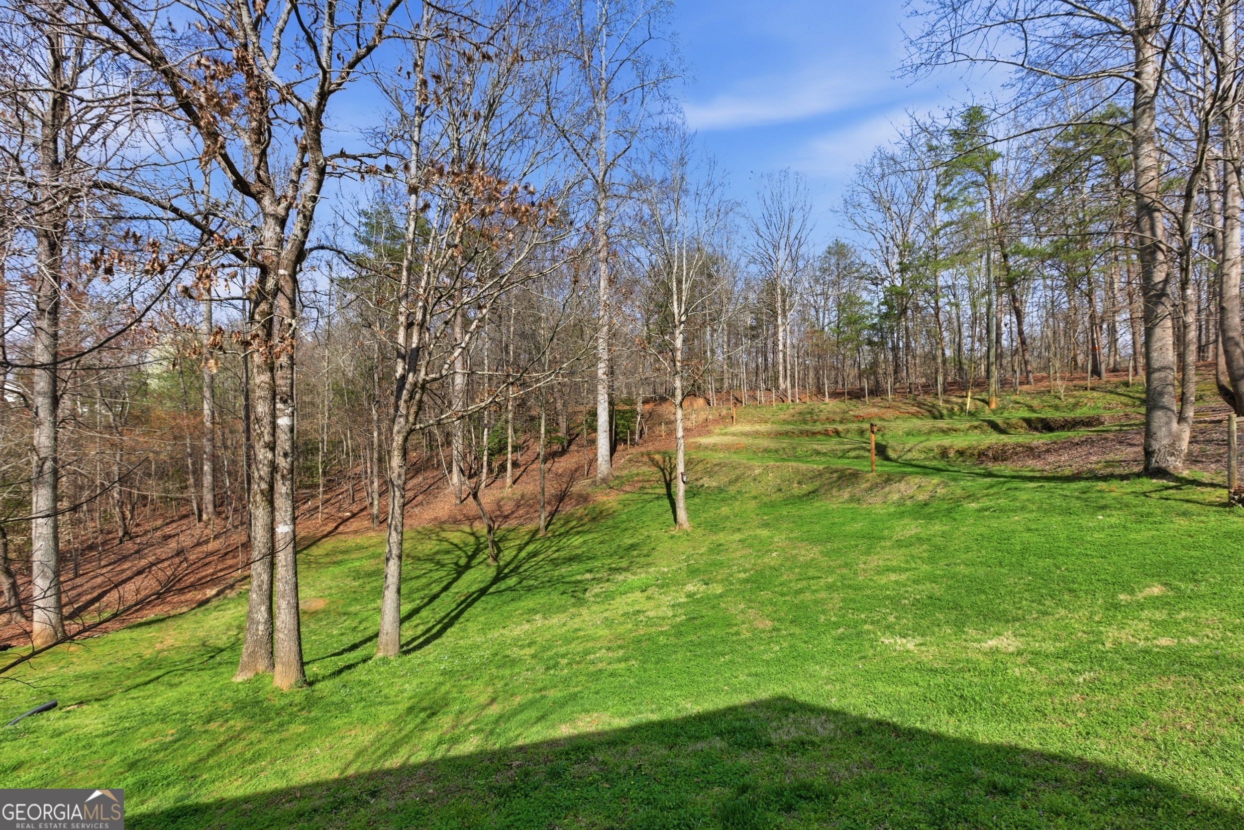 498 Deer Track Road Cornelia, GA 30531 - Photo 14 of 63