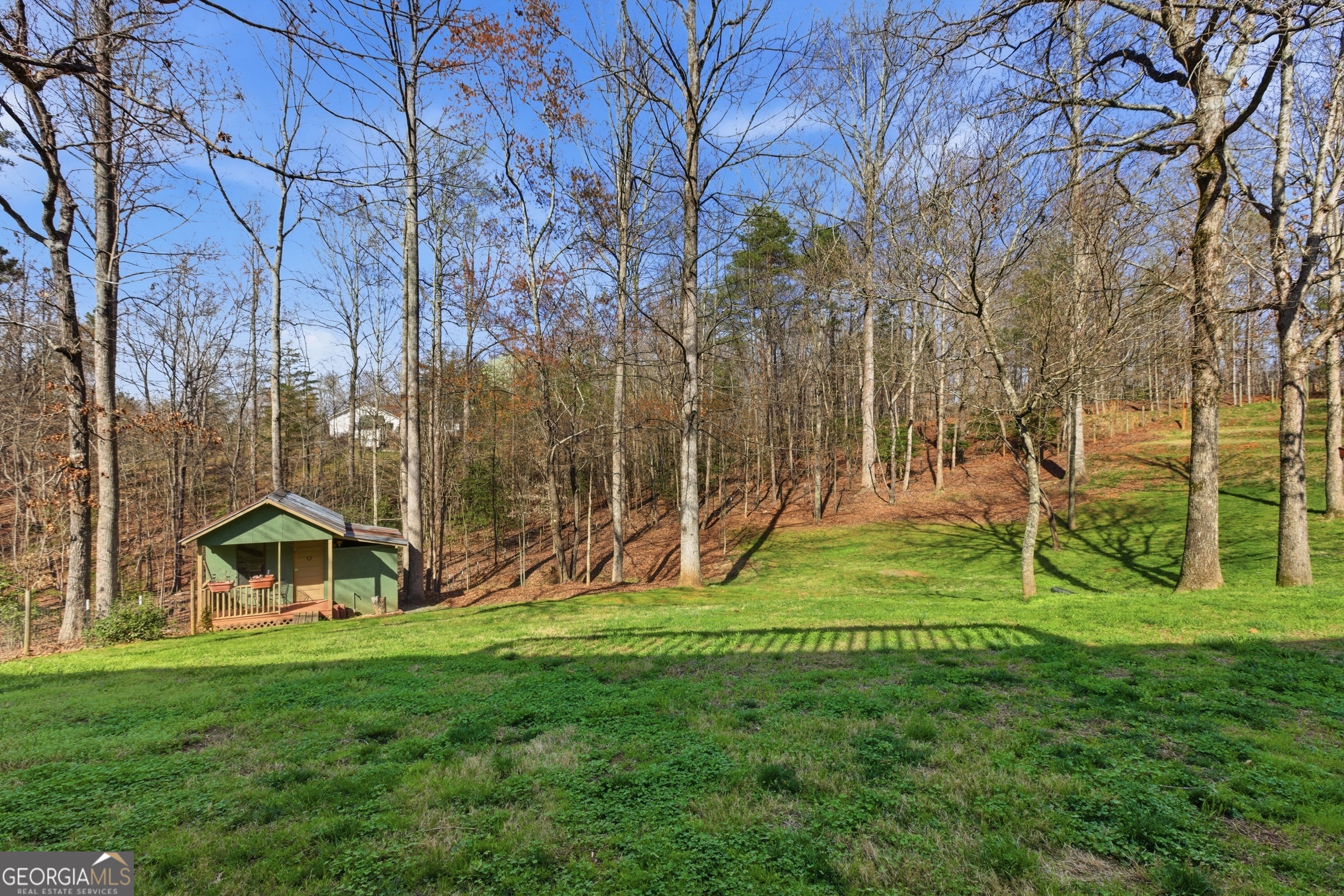 498 Deer Track Road Cornelia, GA 30531 - Photo 47 of 63