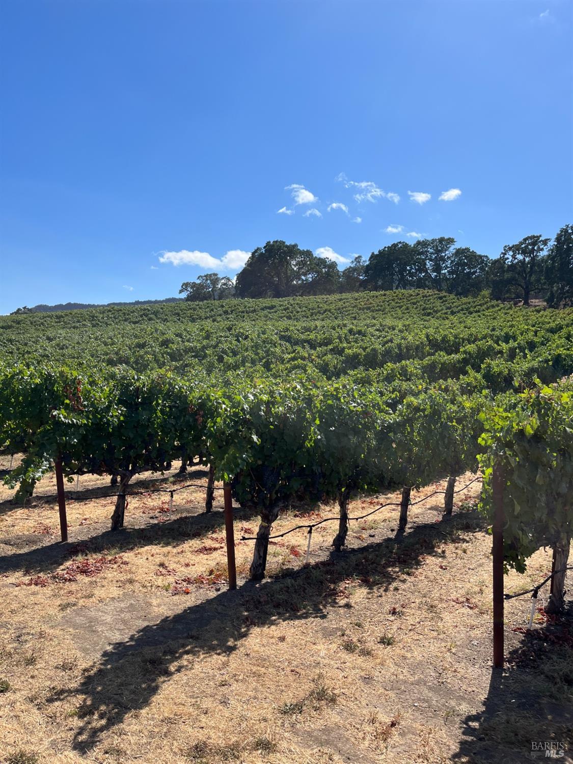 4060 Monticello Road Napa, CA 94558 - Photo 20 of 54