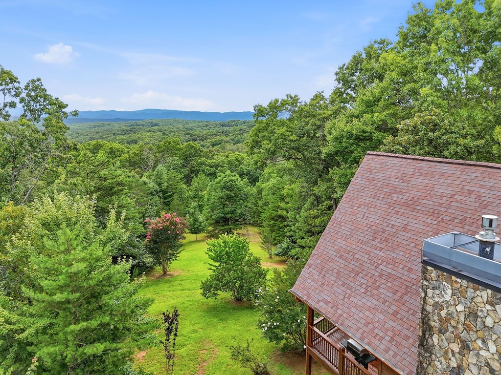 516 Endless View Road Mineral Bluff, GA 30559 - Photo 54 of 55
