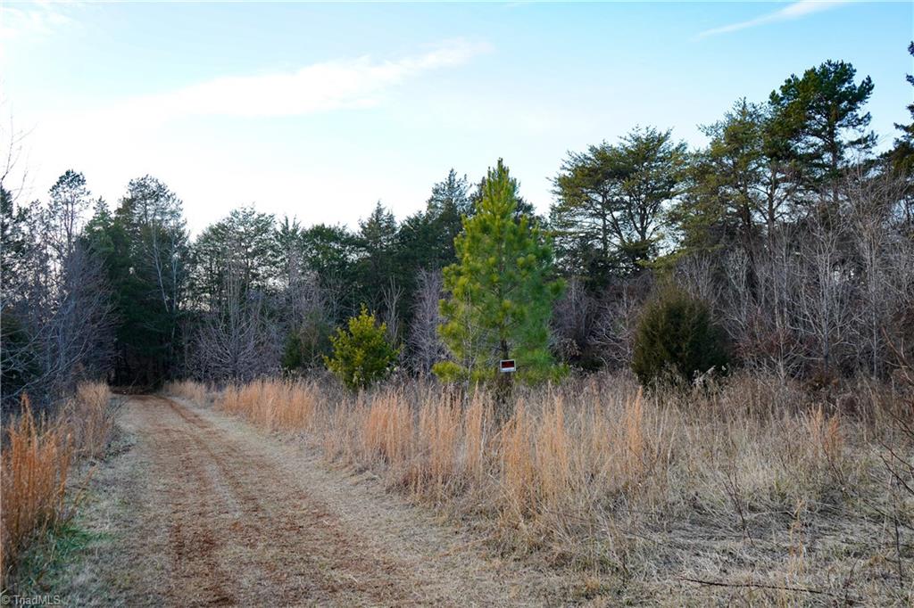 3180 Williston Road Walkertown, NC 27051 - Photo 19 of 45