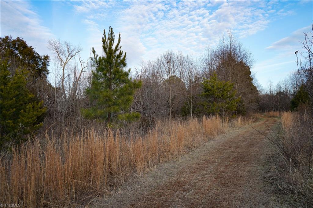 3180 Williston Road Walkertown, NC 27051 - Photo 20 of 45
