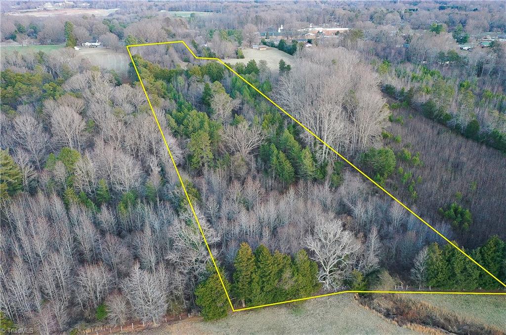 3180 Williston Road Walkertown, NC 27051 - Photo 2 of 45