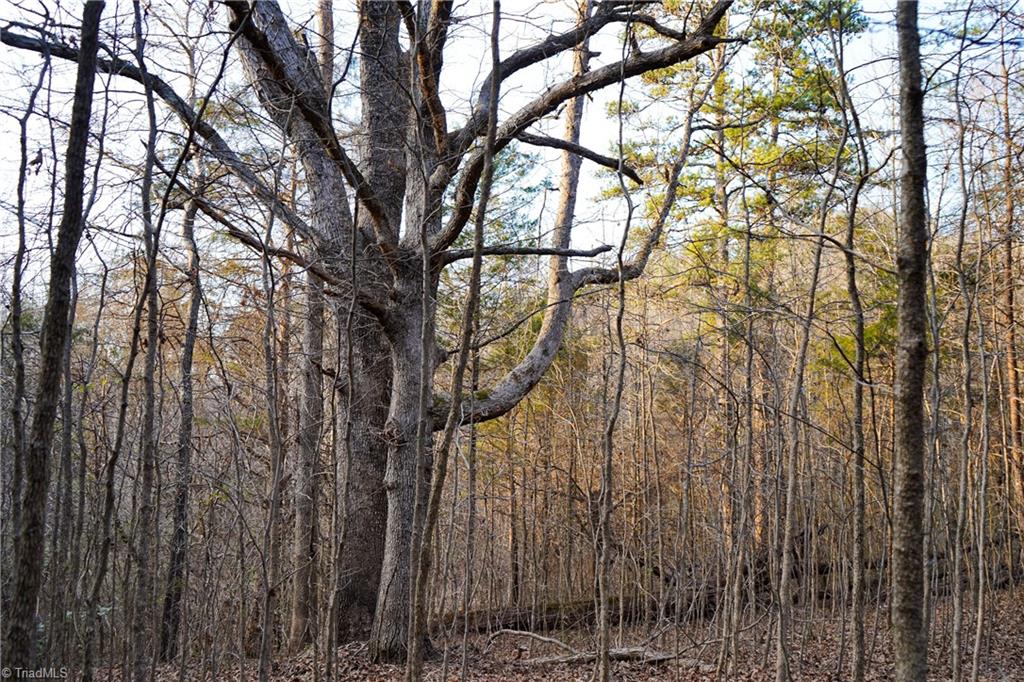 3180 Williston Road Walkertown, NC 27051 - Photo 24 of 45