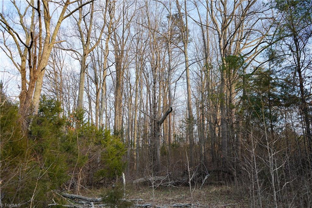 3180 Williston Road Walkertown, NC 27051 - Photo 25 of 45