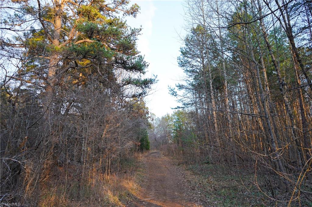 3180 Williston Road Walkertown, NC 27051 - Photo 28 of 45