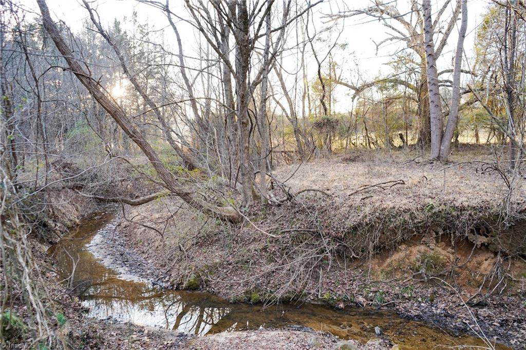 3180 Williston Road Walkertown, NC 27051 - Photo 30 of 45