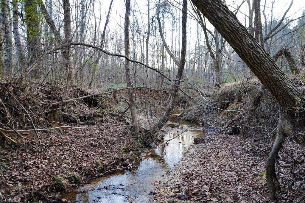 3180 Williston Road Walkertown, NC 27051 - Photo 31 of 45