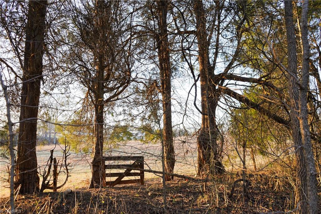 3180 Williston Road Walkertown, NC 27051 - Photo 32 of 45