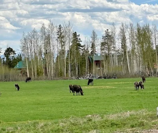 a yard with lots of green space and trees