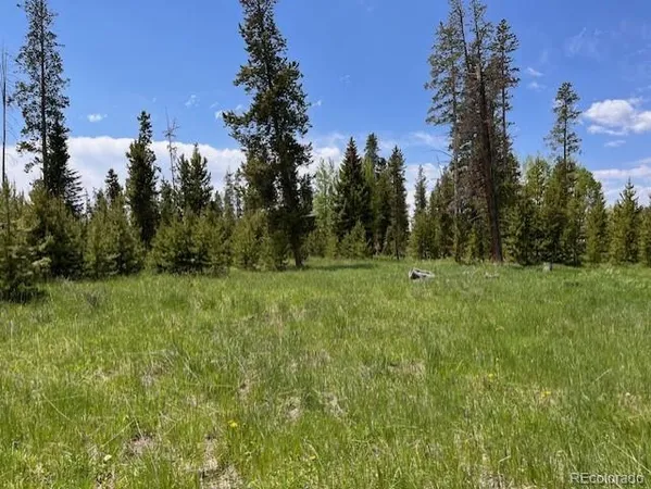 a view of a grassy field with trees in the background
