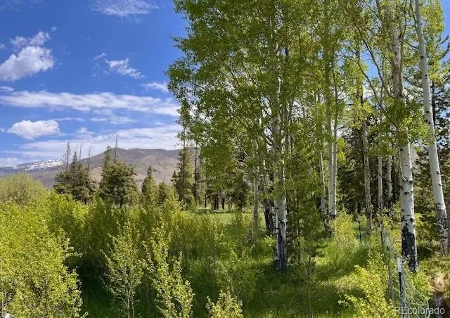 $388,000 | 1680 County Road 491, Grand Lake, CO 80447