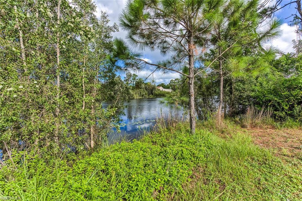 29 Caribbean Road Naples, FL 34108 - Photo 3 of 30 a backyard of a house with lots of green space and lake view