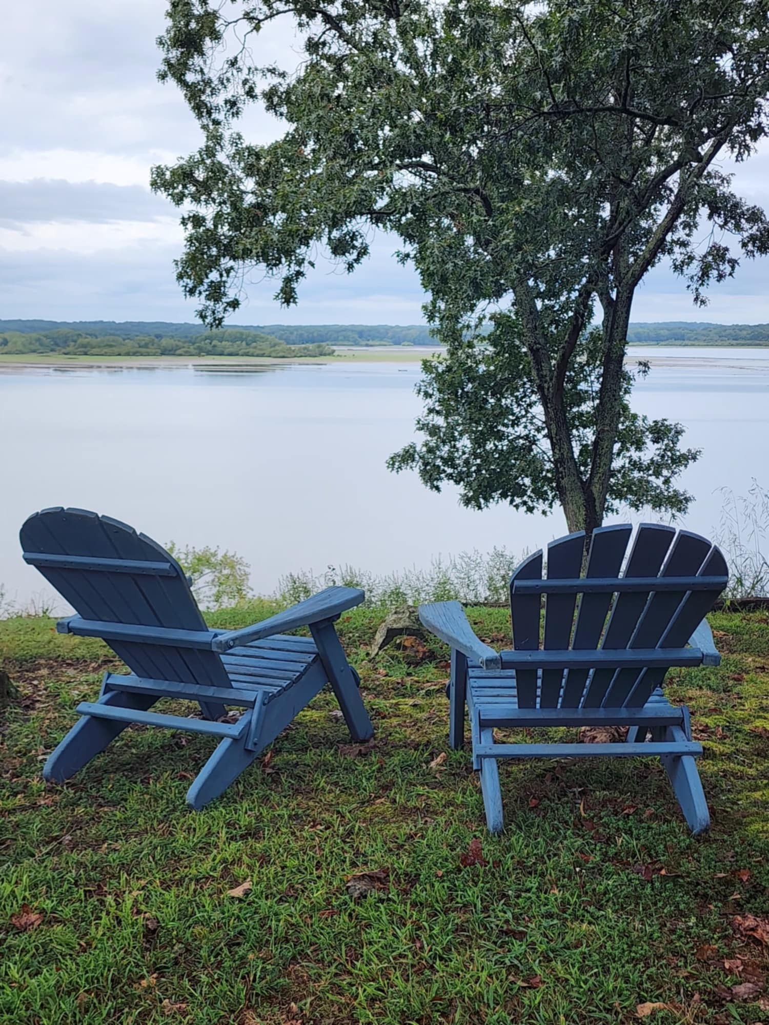 439 Bluff Road Big Sandy, TN 38221 - Photo 2 of 86