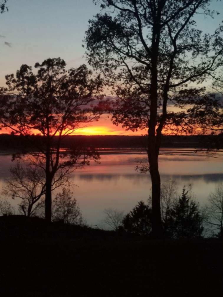 439 Bluff Road Big Sandy, TN 38221 - Photo 44 of 86